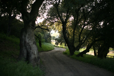 Ranches and Farms 3129