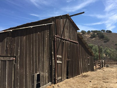 Barns 0054