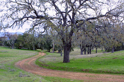 Ranches and Farms 3301