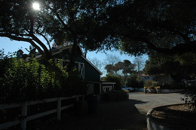Ranches and Farms 3135