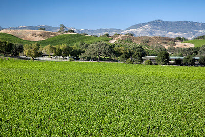 Ranches and Farms 3027