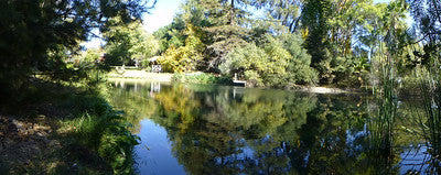 Lakes-Ponds 3063 (SY)