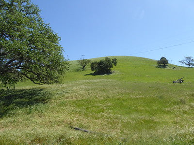Ranches and Farms 3048