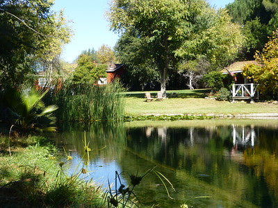 Ranches and Farms 3063