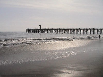Beaches 8060