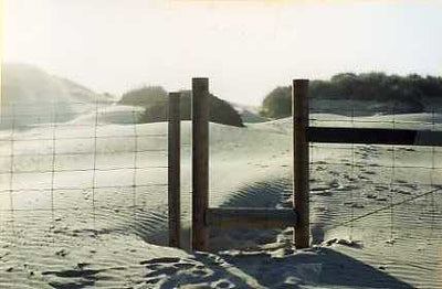 Beaches 8170
