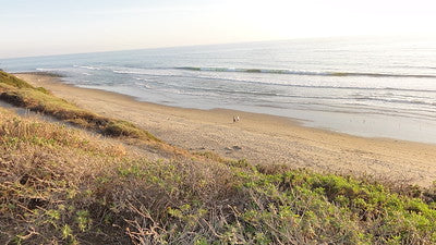 Beaches 8203