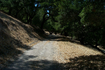 Ranches and Farms 3125