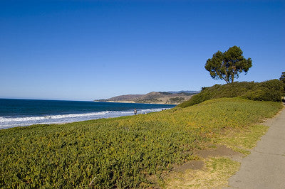 Beaches 8050