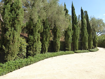 Very-SB-Homes 8947