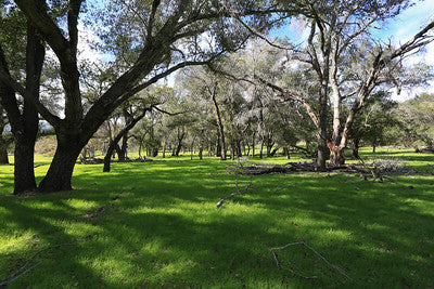 Ranches and Farms 3295