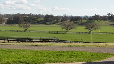 Ranches and Farms 3076