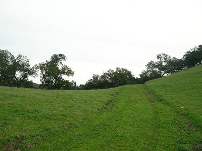 Ranches and Farms 3173