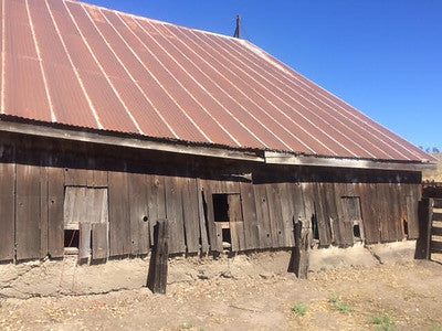 Barns 0138