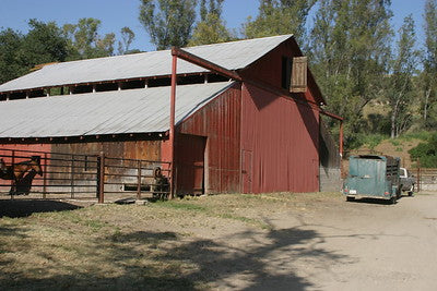 Barns 3048 (Los Olivos)