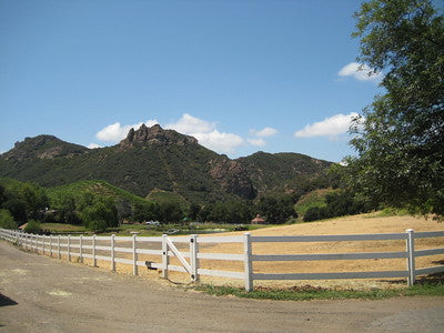 Ranches and Farms 3129