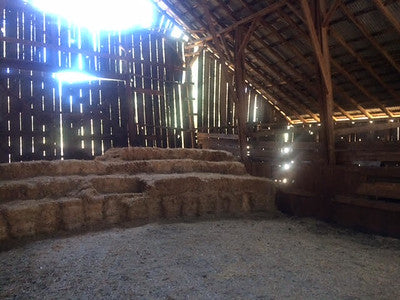 Barns 0138