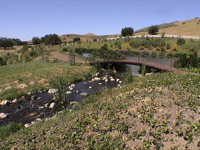 Ranches and Farms 3165