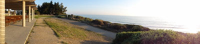 Beaches 8203