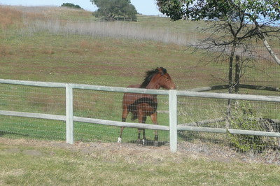 Ranches and Farms 2235