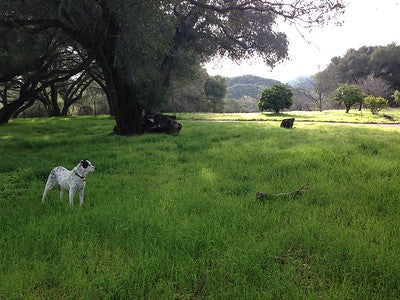 Ranches and Farms 3295