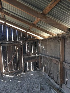 Barns 0054