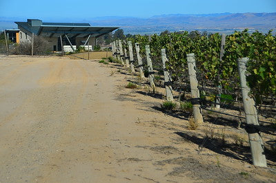 Vineyards & Wineries 1098 (Santa Maria) Roads