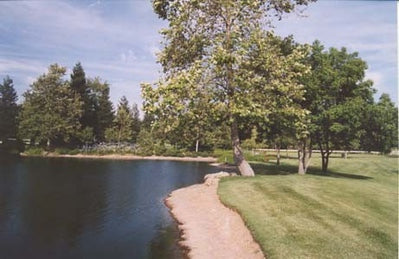 Wineries 3808