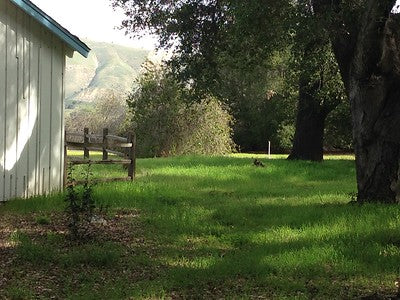 Ranches and Farms 3295