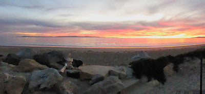 Beach Properties 4001