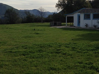 Ranches and Farms 3295