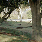 Ranches and Farms 3006