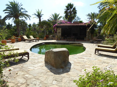 Exotic Tropical Zen Whimsy 0383