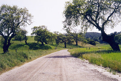 Ranches and Farms 3173