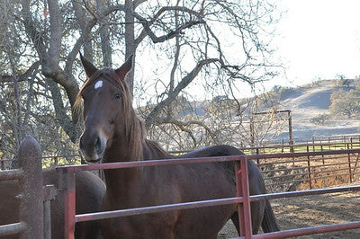 Ranches and Farms 3048