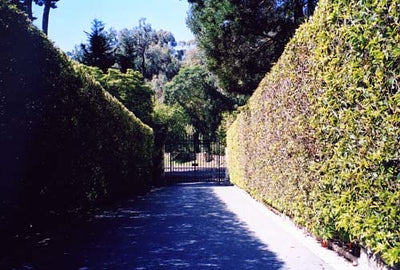 Estates 1844