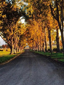 Wineries 3808