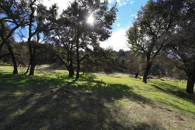 Ranches and Farms 3295