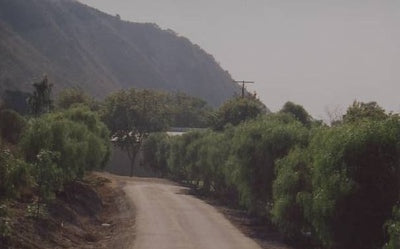 Ranches and Farms 3061