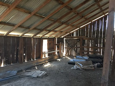 Barns 0054
