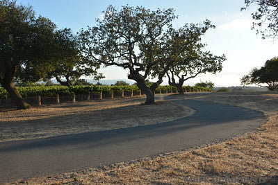 Country Houses 0084 (Santa Ynez)