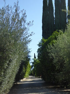 Mediterranean-Houses 0062 (Ojai)