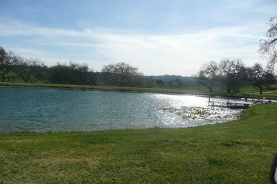 Ranches and Farms 2235