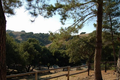 Ranches and Farms 3179