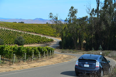 Vineyards & Wineries 1098 (Santa Maria) Roads