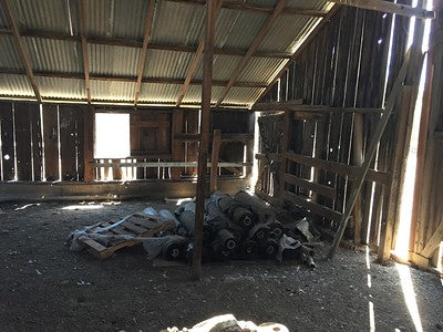 Barns 0054