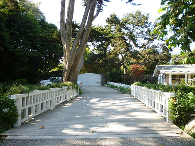 Beach Properties Looks Like Northern California