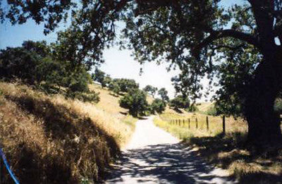 Ranches and Farms 3262