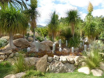Exotic Tropical Zen Whimsy 0383