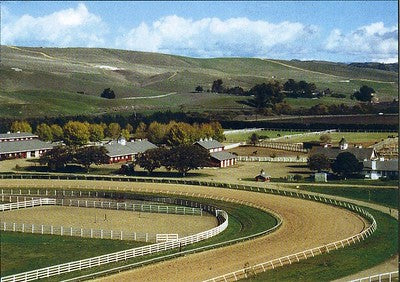 Ranches and Farms 3153